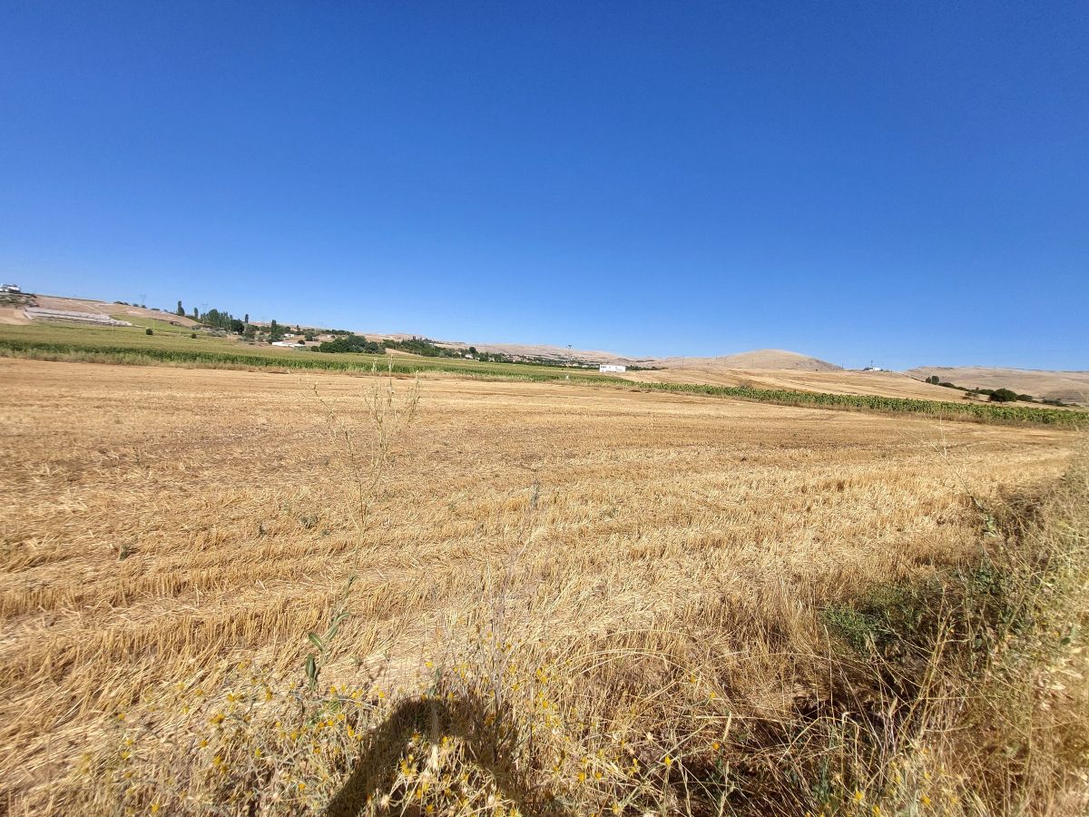 Erkilet Kemer Mah.’de 12.208 m² TEK TAPULU Satılık Tarla