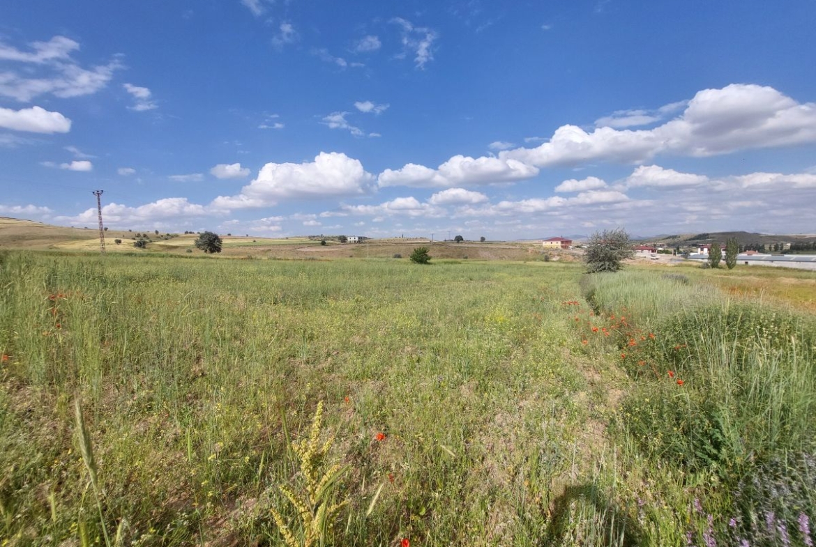 Talas Örencik Mah. de 5.675 m2 TEK TAPULU Satılık Tarla