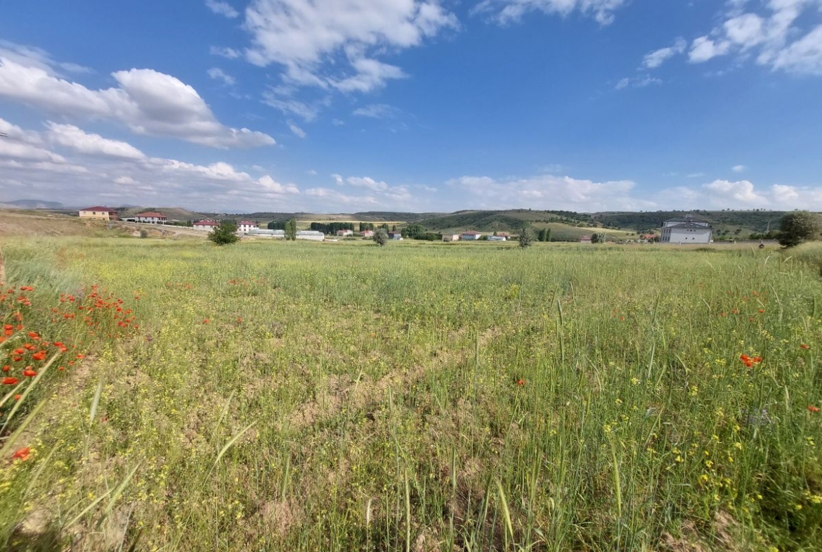 Talas Örencik Mah. de 5.675 m2 TEK TAPULU Satılık Tarla