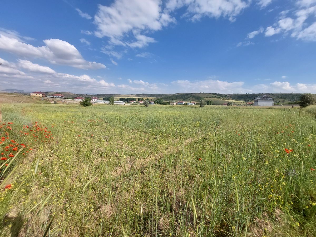Talas Örencik Mah. de 5.675 m2 TEK TAPULU Satılık Tarla