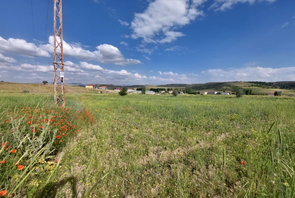 Talas Örencik Mah. de 5.675 m2 TEK TAPULU Satılık Tarla