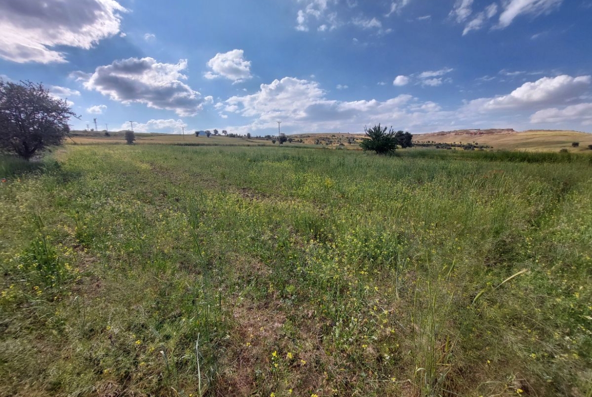 Talas Örencik Mah. de 5.675 m2 TEK TAPULU Satılık Tarla