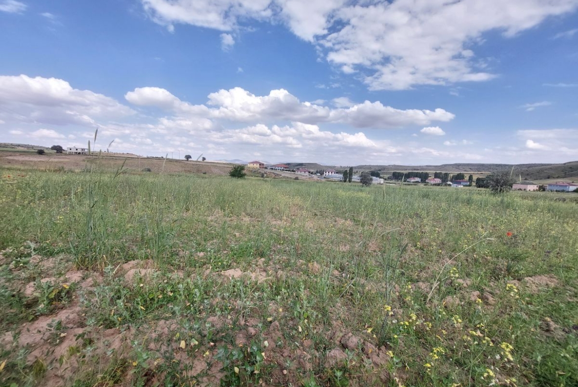 Talas Örencik Mah. de 5.675 m2 TEK TAPULU Satılık Tarla