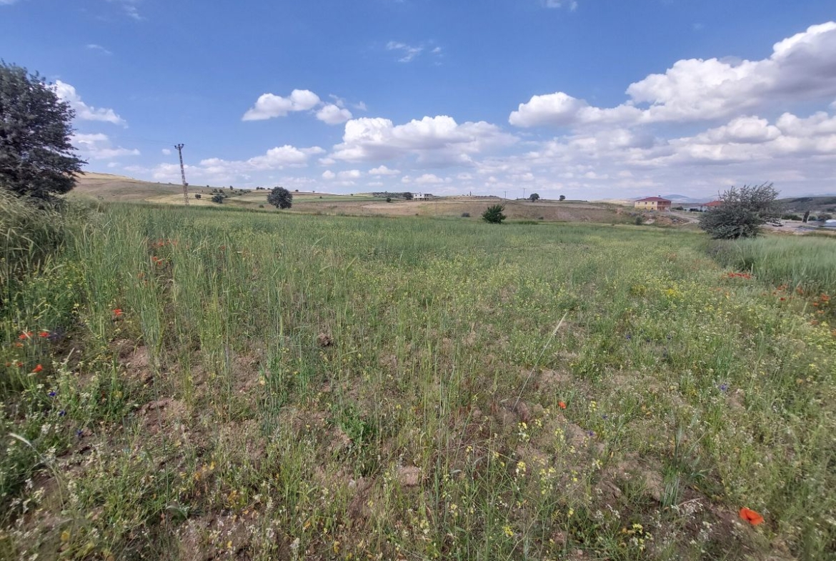 Talas Örencik Mah. de 5.675 m2 TEK TAPULU Satılık Tarla